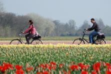 Cycle tour in North Holland