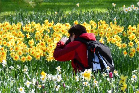 Tulip Tour by boat & bike